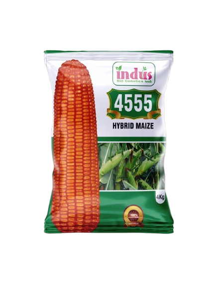 Indus 4555 Ultra Hybrid Maize